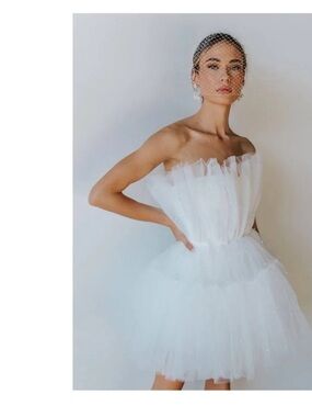 Arlington Strapless Tulle Mini Dress